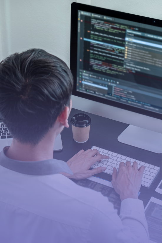 Website Development